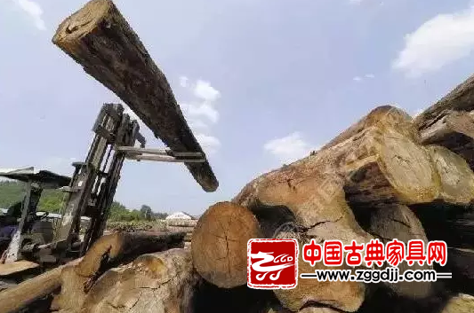 红木原材料-中国古典家具网